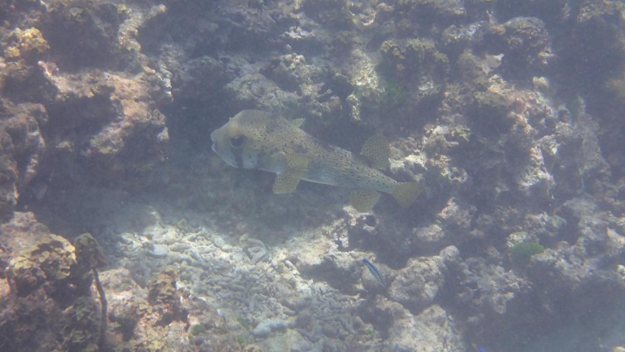 Anse La Blague Baie Sainte Anne