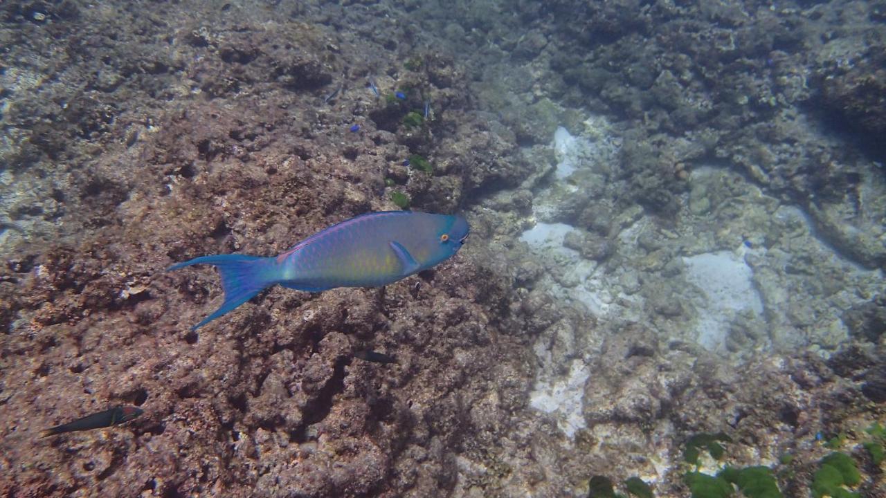 Anse La Blague 3*